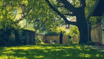 Nachbarschaftsgärten: So gelingt die gemeinsame Pflege von Grünflächen